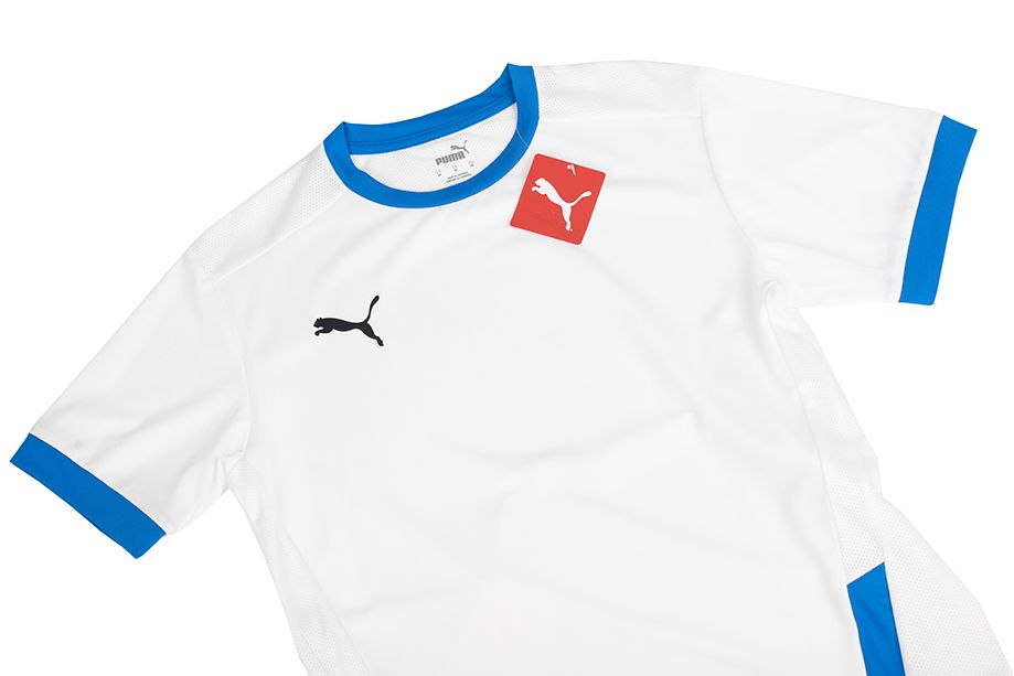 PUMA Pánské tričko teamGOAL 23 Jersey 704171 12