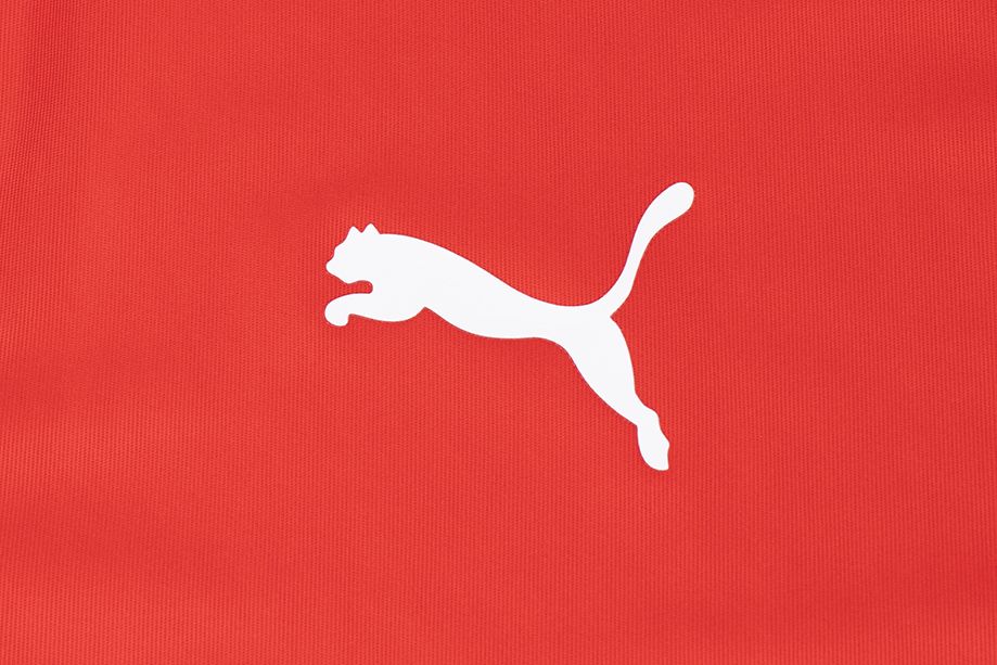 PUMA Pánské tričko teamLIGA Jersey 704917 01