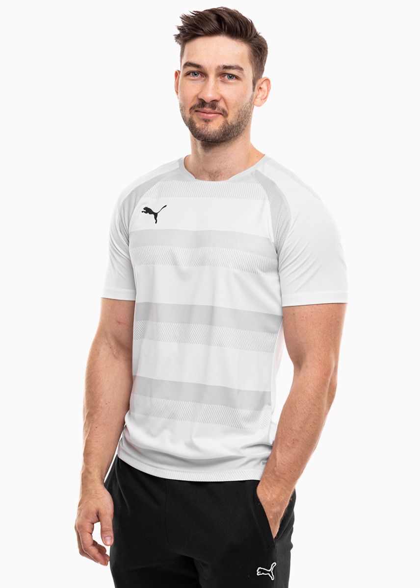 PUMA Pánské tričko teamVISION Jersey 704921 04