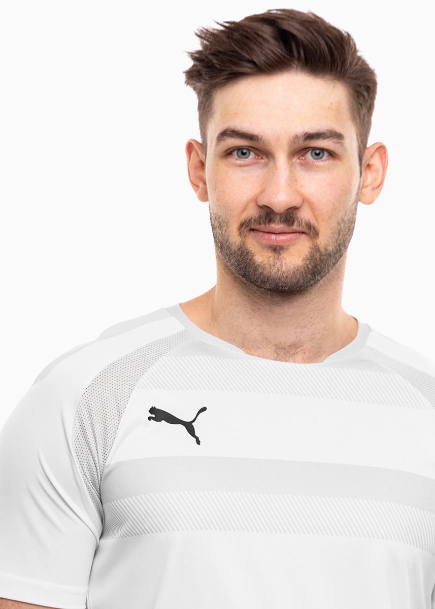 PUMA Pánské tričko teamVISION Jersey 704921 04