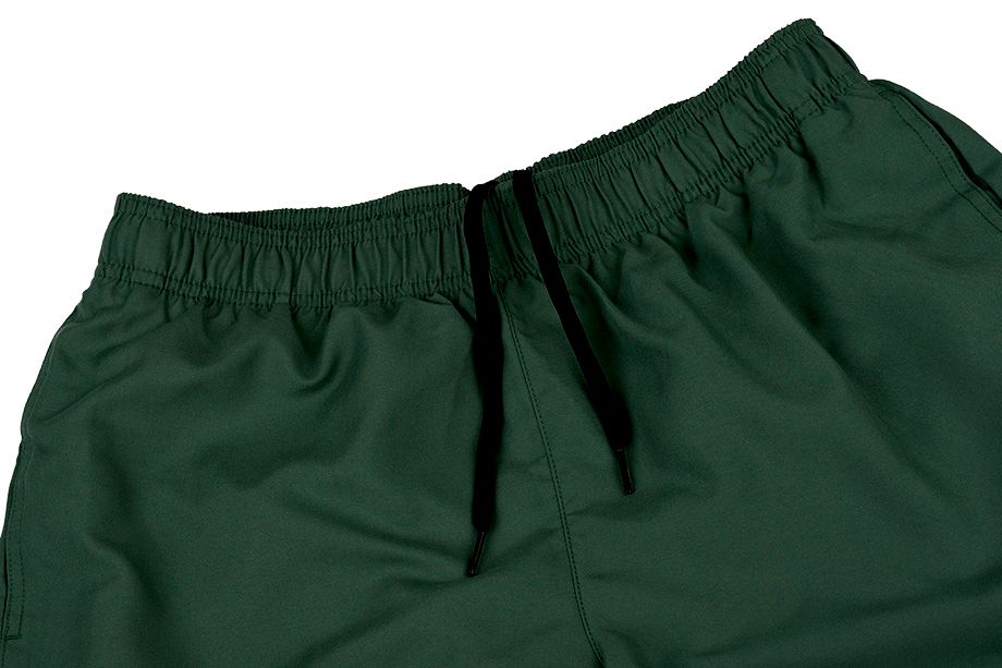 Nike Šortky Koupání Pánské Volley NESSA560 303