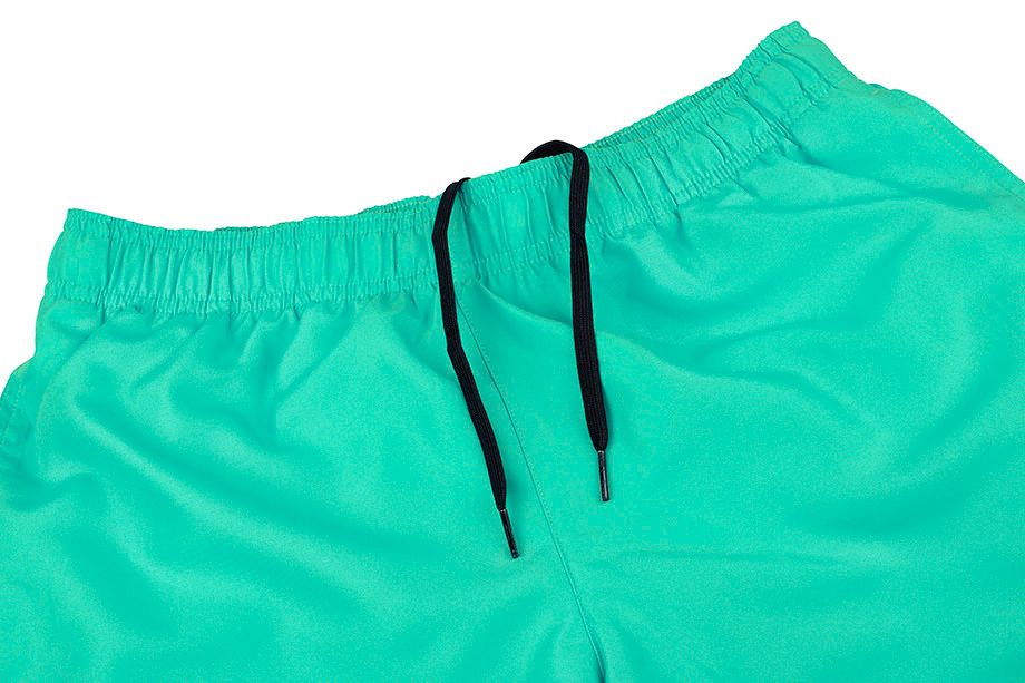Nike Šortky Koupání Pánské Volley NESSA560 315