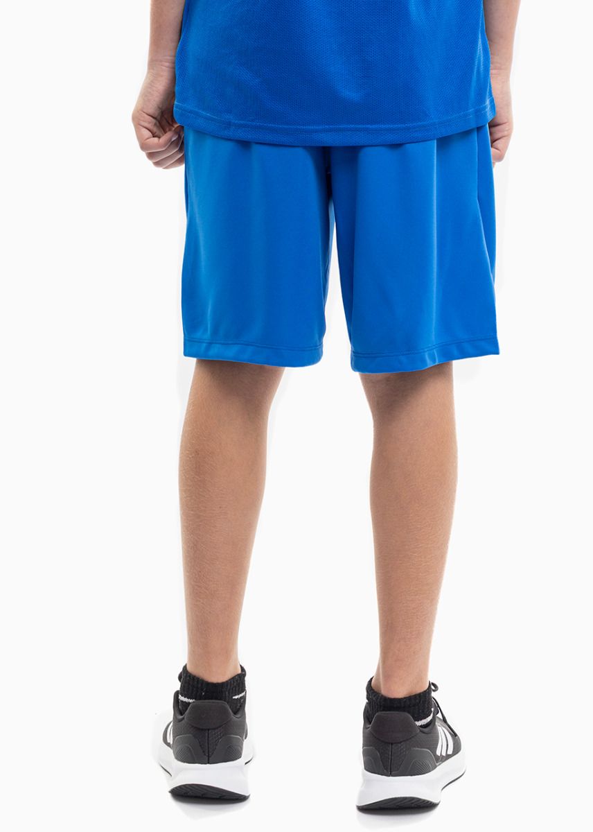 Nike Šortky Pro Děti Junior Dry Park III BV6865 463 Nike Šortky Pro Děti Junior Dry Park III BV6865 463