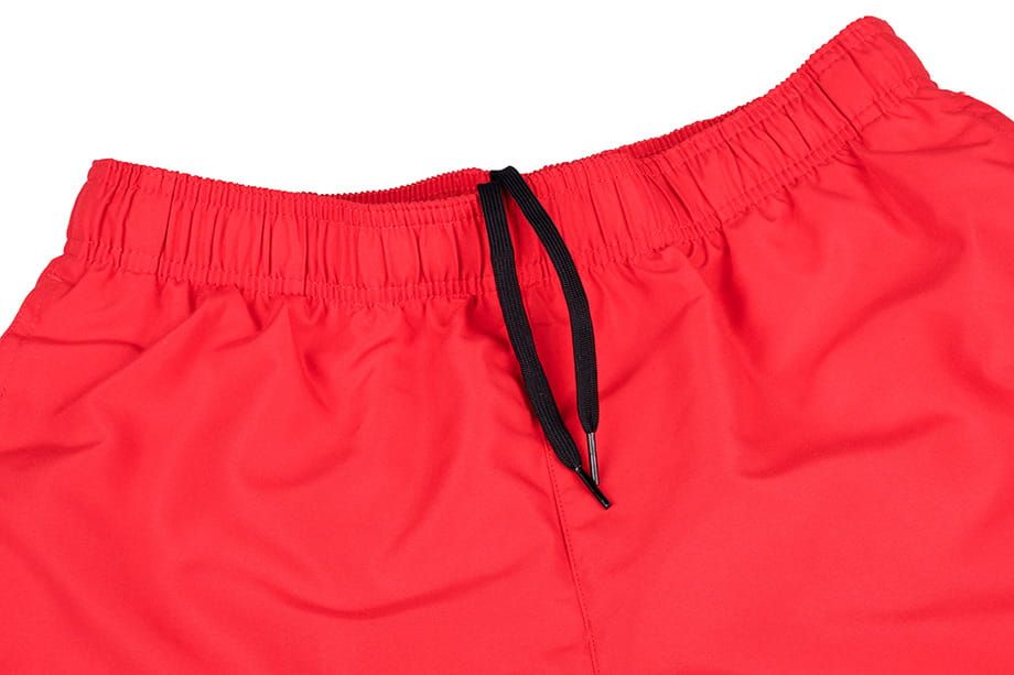 Nike Pánské Šortky Koupání Volley NESSA560 614 roz. XXL OUTLET Nike Pánské Šortky Koupání Volley NESSA560 614 roz. XXL OUTLET