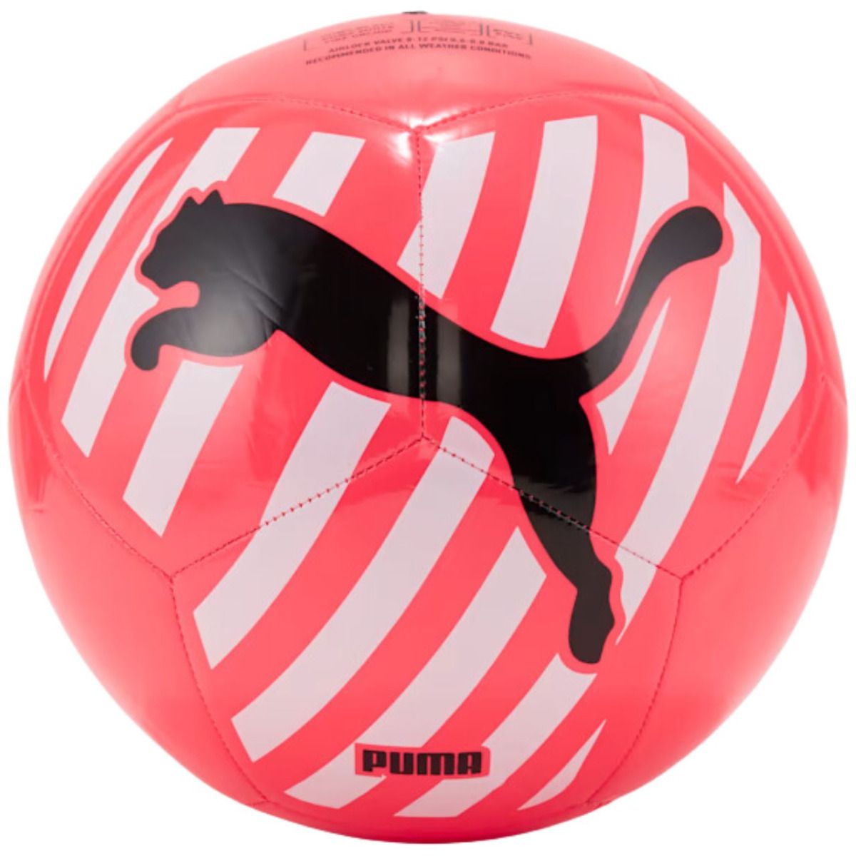 PUMA Fotbalový míč Big Cat 83994 05