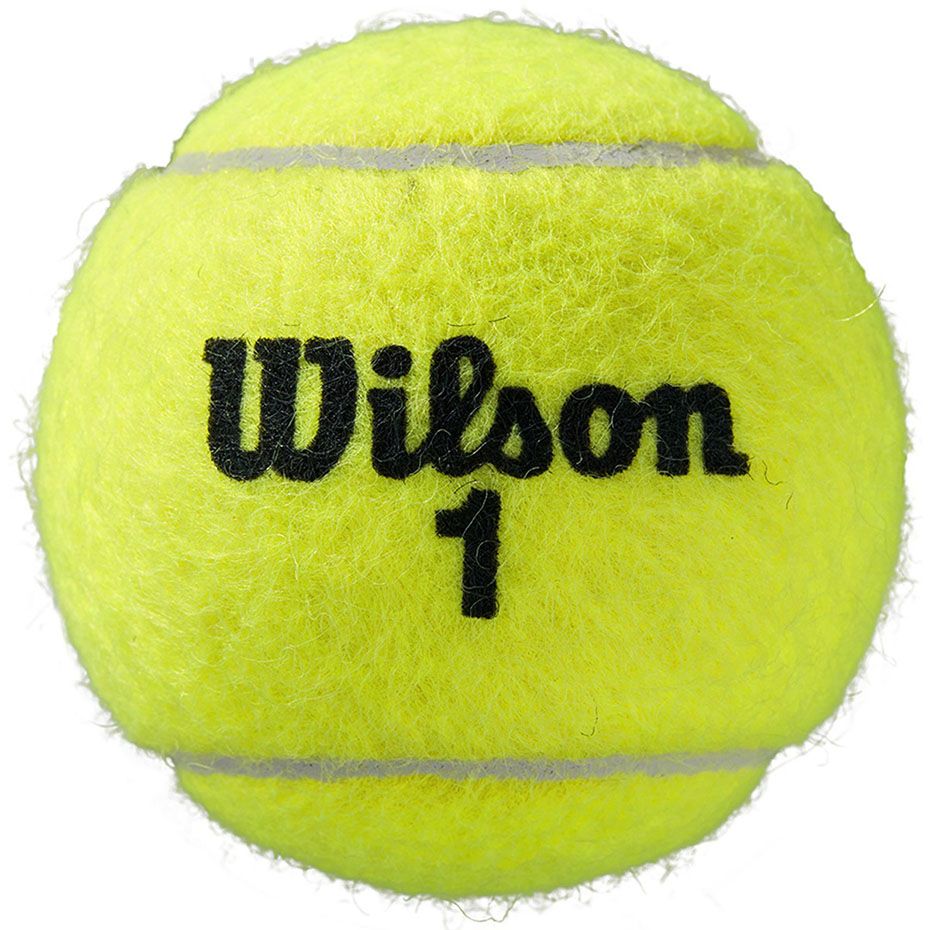 Wilson Tenisové míče Roland Garros All Court 4pcs WRT116400