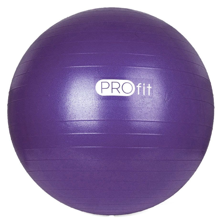 Profit Gymnastický míč s pumpou 55 cm DK 2102 1