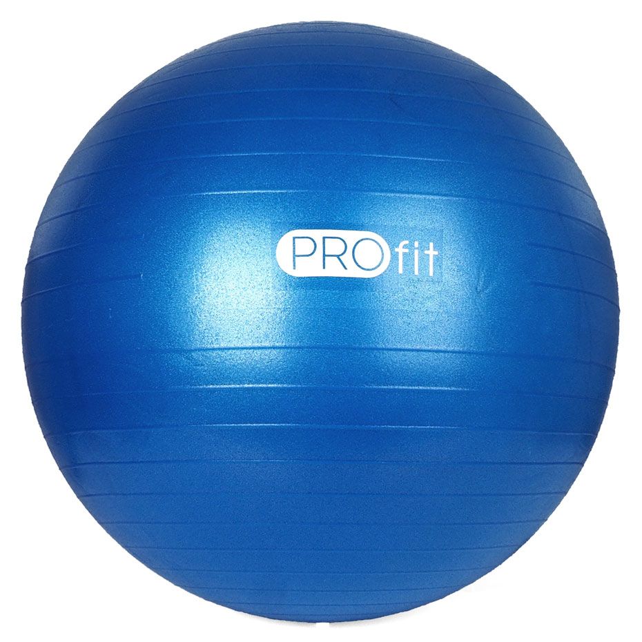 Profit Gymnastický míč s pumpou 55 cm DK 2102 2