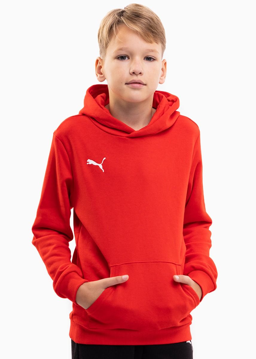 PUMA Detská mikina teamGOAL 23 Casuals Hoody Jr 656711 01