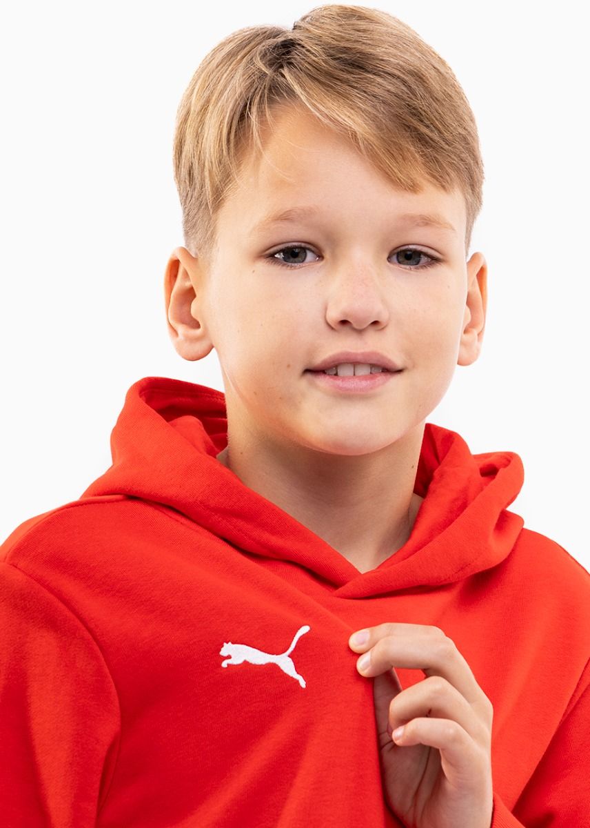 PUMA Detská mikina teamGOAL 23 Casuals Hoody Jr 656711 01