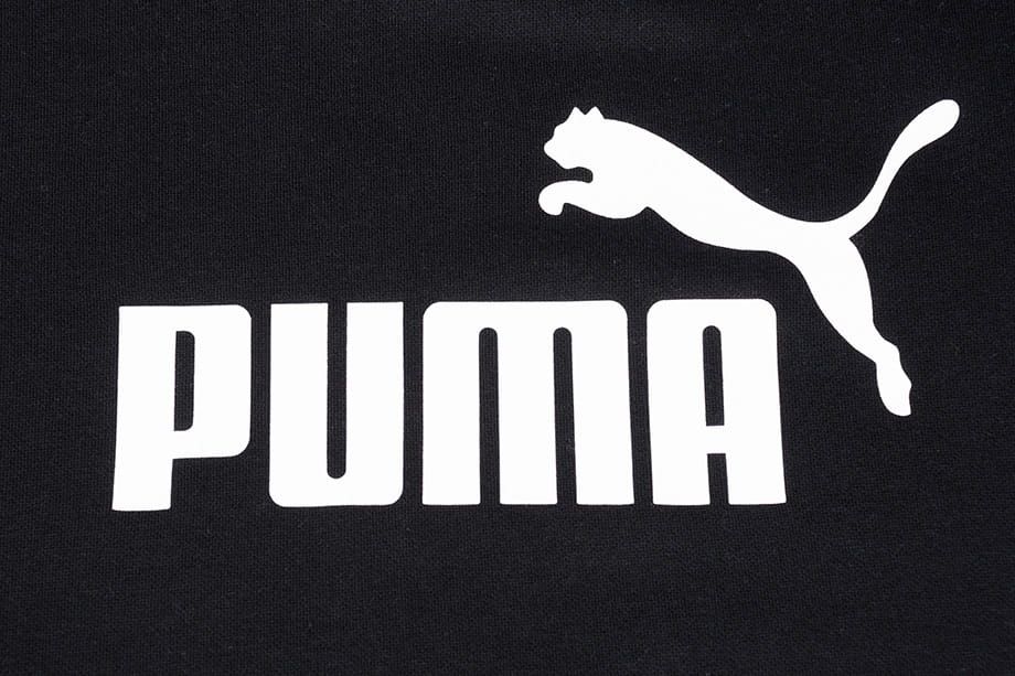 PUMA Pánská mikina ESS Big Logo Crew FL 586678 01