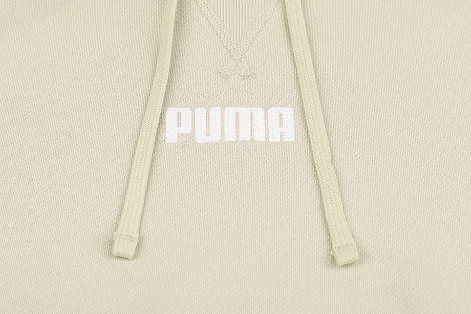 PUMA Pánská Mikina Modern Basics Hoodie TR 847410 64