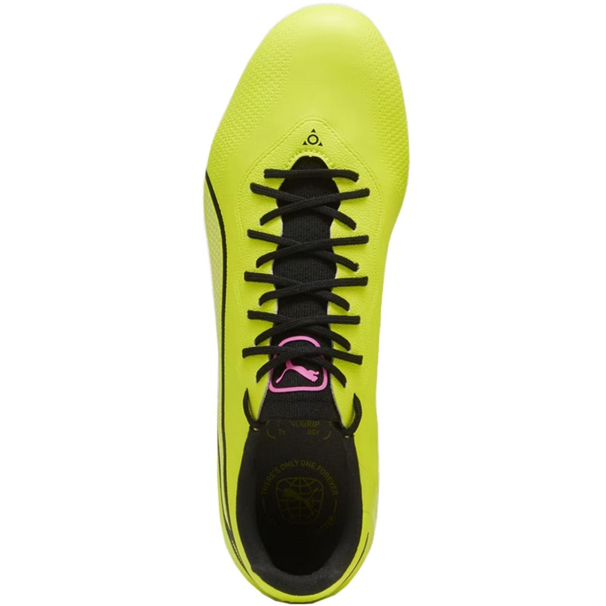 Puma Fotbalové boty King Pro FG/AG 107566 05