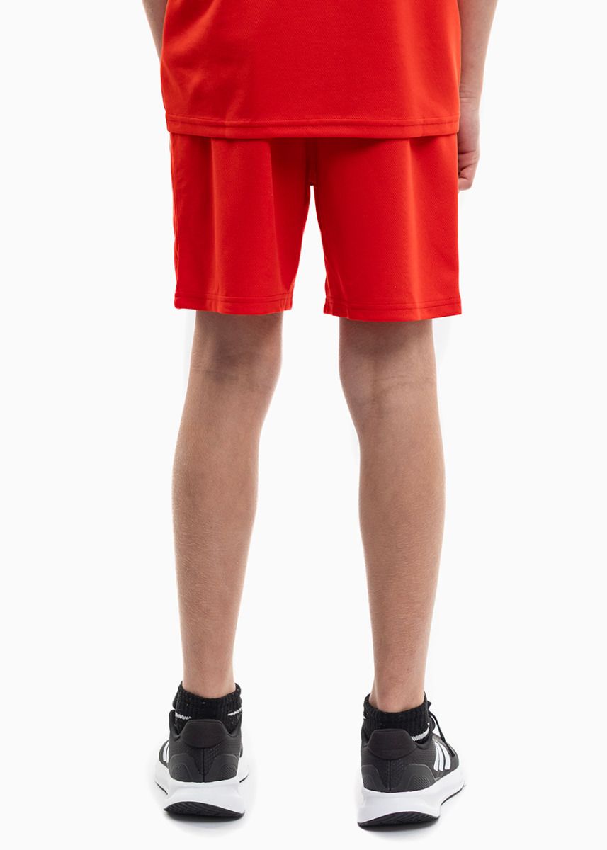 PUMA Dětský Sportovní Set Tričko Šortky teamRISE Jersey Jr 704938 01/704943 01 PUMA Dětský Sportovní Set Tričko Šortky teamRISE Jersey Jr 704938 01/704943 01