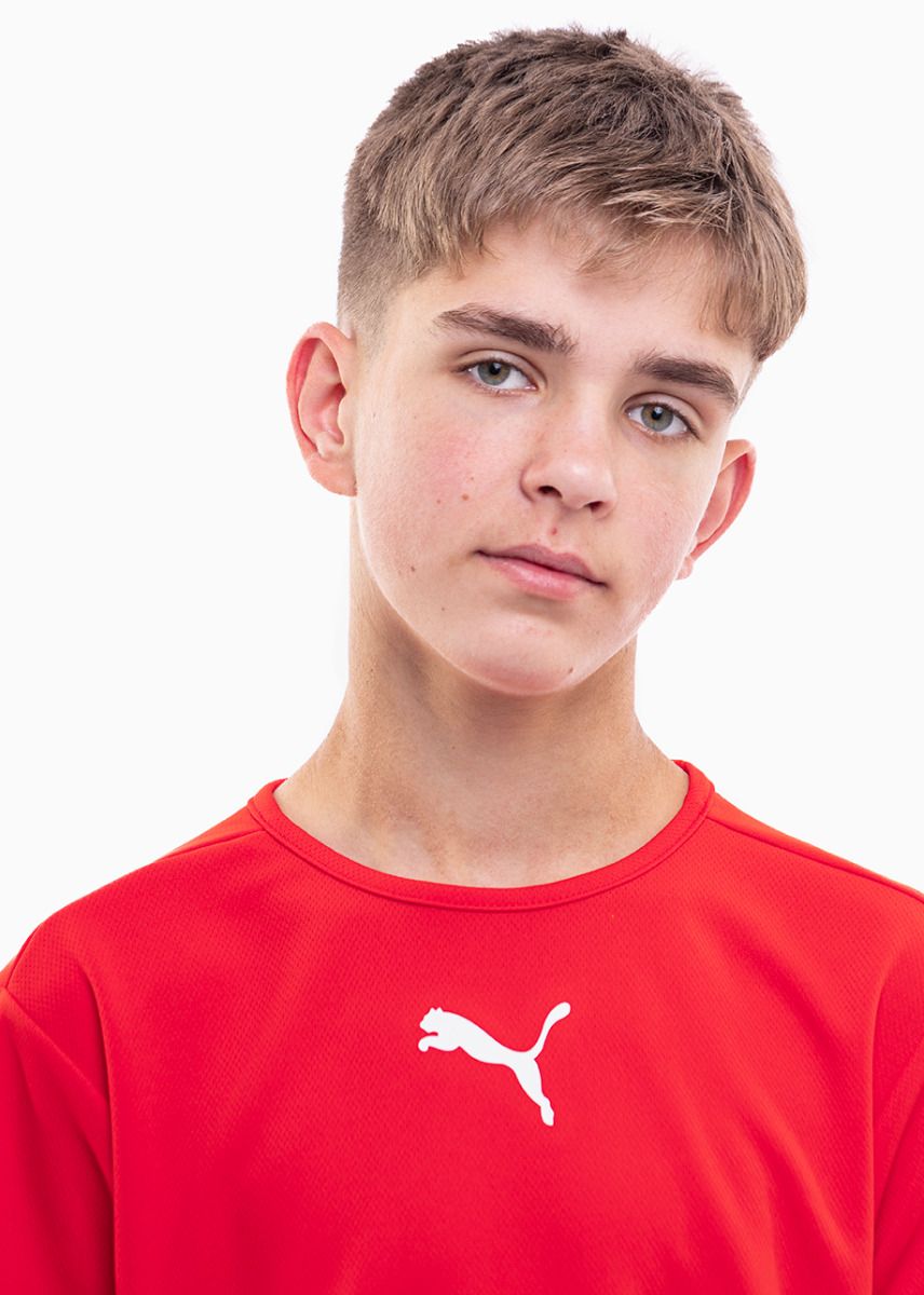 PUMA Dětský Sportovní Set Tričko Šortky teamRISE Jersey Jr 704938 01/704943 04 PUMA Dětský Sportovní Set Tričko Šortky teamRISE Jersey Jr 704938 01/704943 04