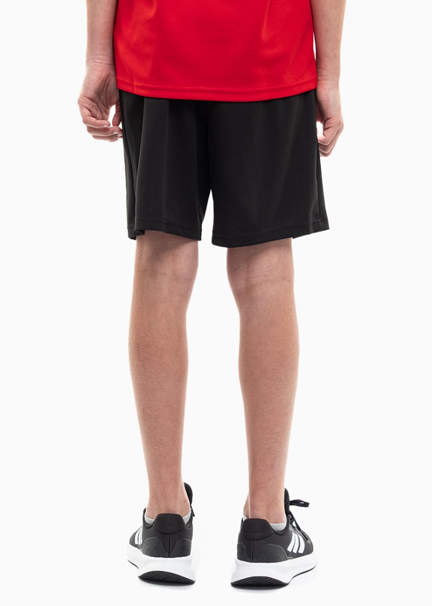 PUMA Dětský Sportovní Set Tričko Šortky teamRISE Jersey Jr 704938 01/704943 04 PUMA Dětský Sportovní Set Tričko Šortky teamRISE Jersey Jr 704938 01/704943 04