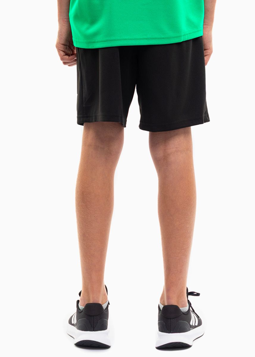 PUMA Dětský Sportovní Set Tričko Šortky teamRISE Jersey Jr 704938 05/704943 04 PUMA Dětský Sportovní Set Tričko Šortky teamRISE Jersey Jr 704938 05/704943 04