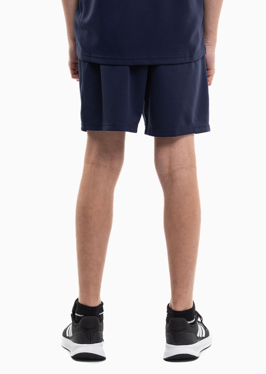 PUMA Dětský Sportovní Set Tričko Šortky teamRISE Jersey Jr 704938 06/704943 06 PUMA Dětský Sportovní Set Tričko Šortky teamRISE Jersey Jr 704938 06/704943 06