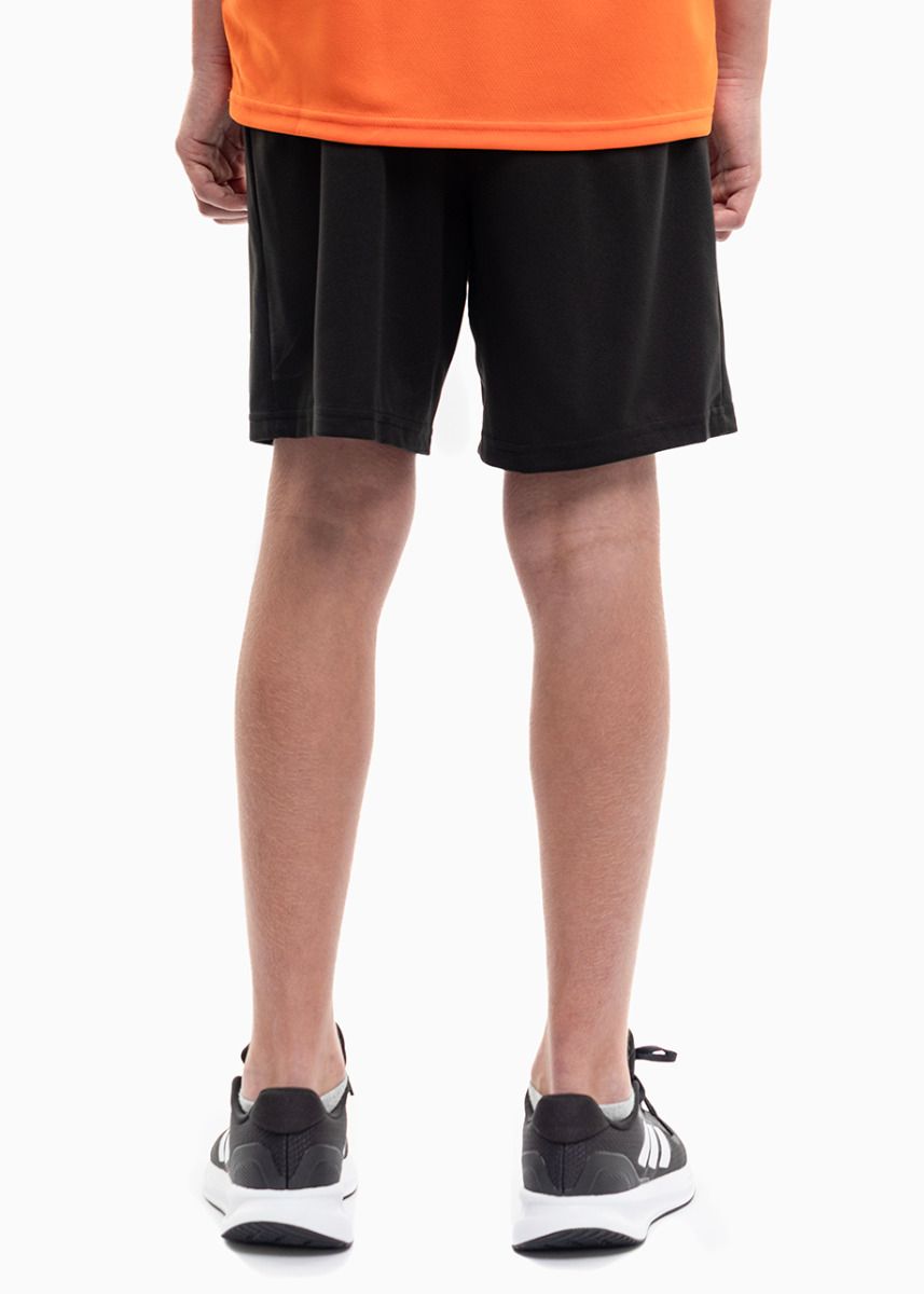 PUMA Dětský Sportovní Set Tričko Šortky teamRISE Jersey Jr 704938 08/704943 04 PUMA Dětský Sportovní Set Tričko Šortky teamRISE Jersey Jr 704938 08/704943 04