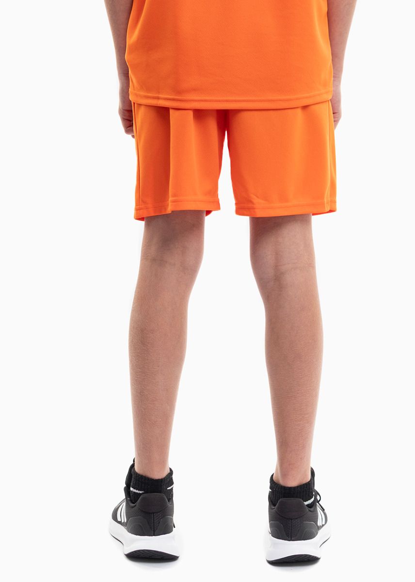 PUMA Dětský Sportovní Set Tričko Šortky teamRISE Jersey Jr 704938 08/704943 08 PUMA Dětský Sportovní Set Tričko Šortky teamRISE Jersey Jr 704938 08/704943 08