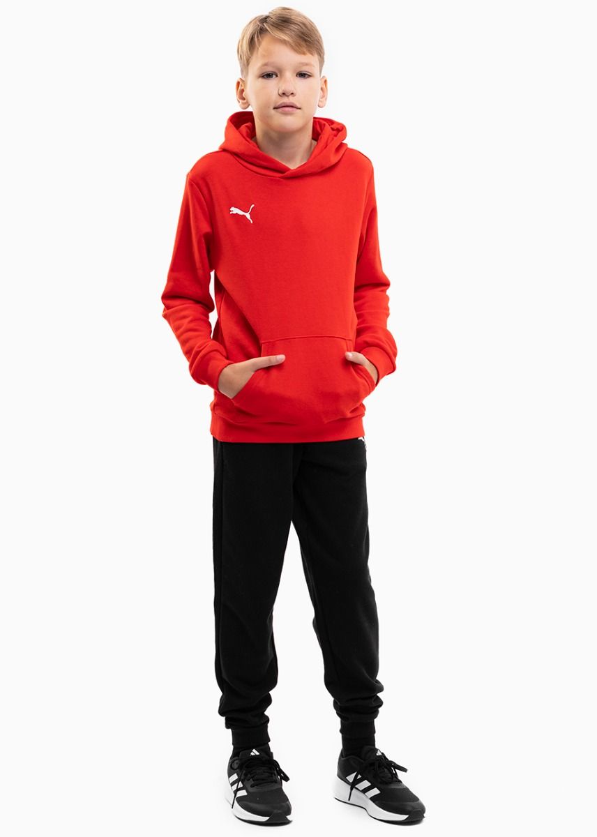 Puma Dětská tepláková souprava teamGOAL 23 Casuals Hoody Jr 656711 01/656713 03