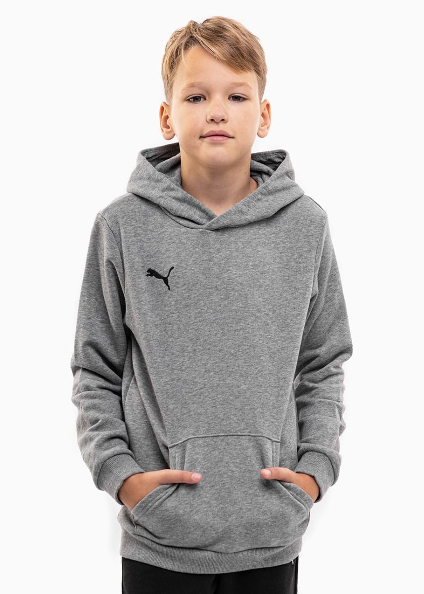 Puma Dětská tepláková souprava teamGOAL 23 Casuals Hoody Jr 656711 33/656713 03