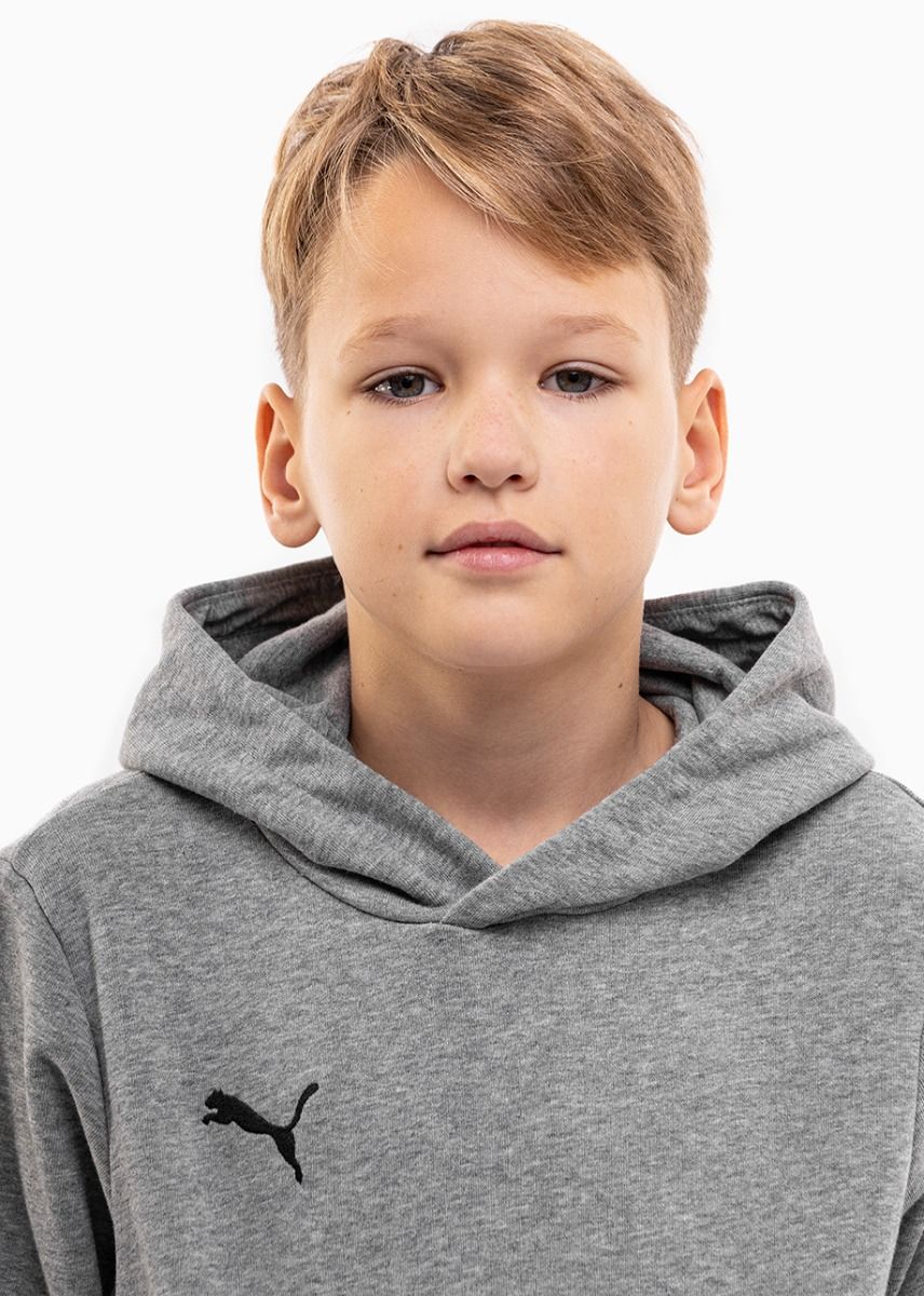 Puma Dětská tepláková souprava teamGOAL 23 Casuals Hoody Jr 656711 33/656713 03