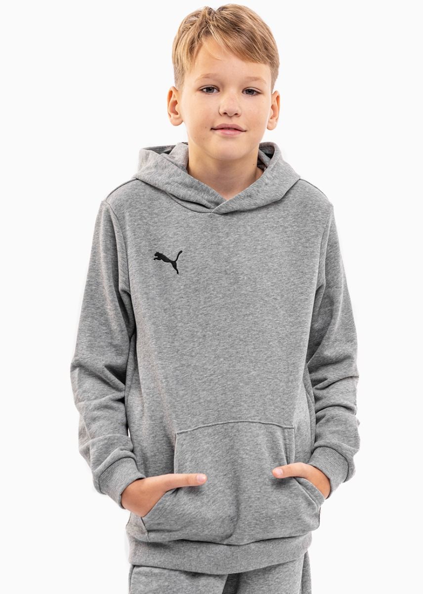 Puma Dětská tepláková souprava teamGOAL 23 Casuals Hoody Jr 656711 33/656713 33