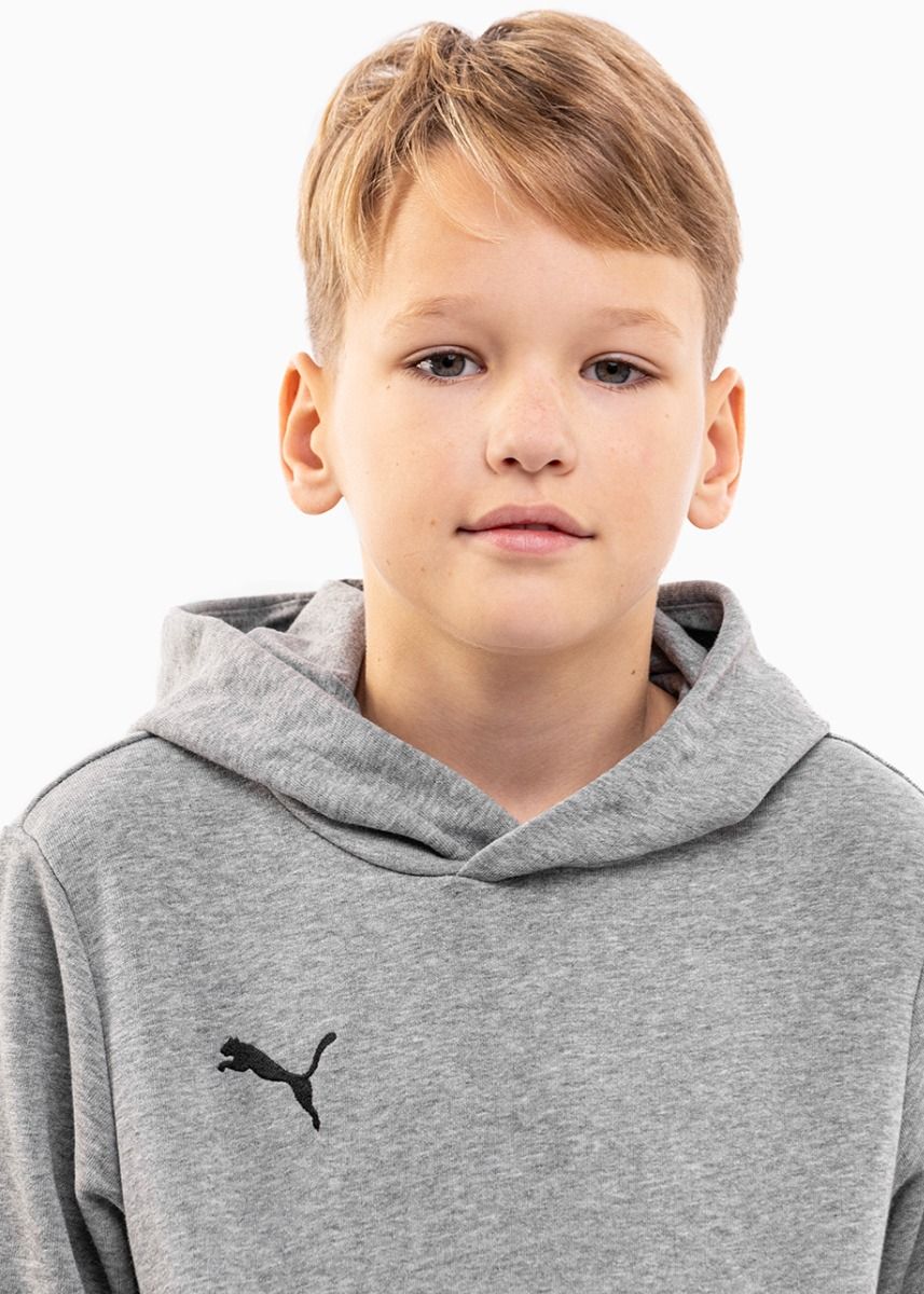 Puma Dětská tepláková souprava teamGOAL 23 Casuals Hoody Jr 656711 33/656713 33