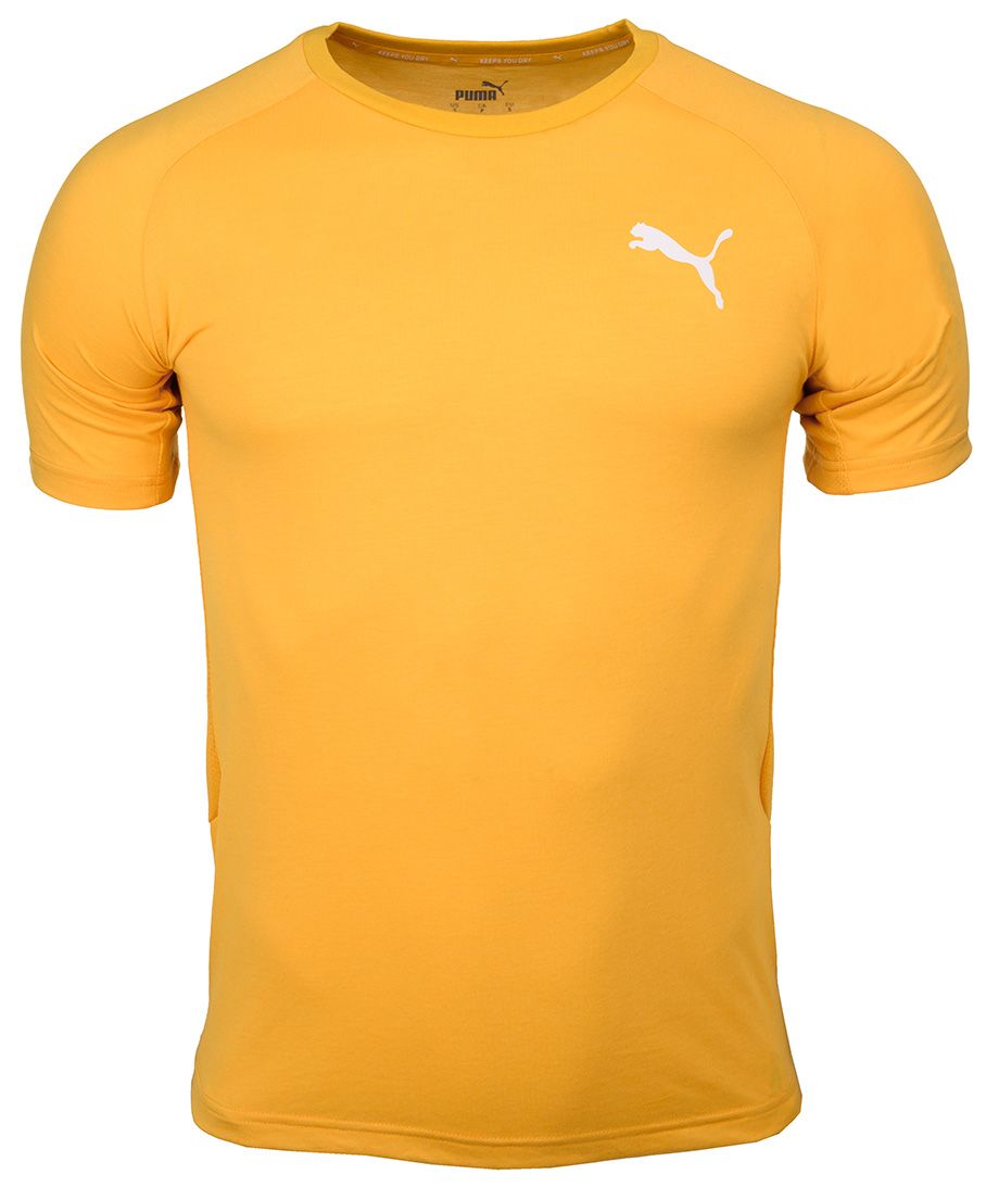 Puma Pánské tričko Evostripe Lite Tee 581534 25