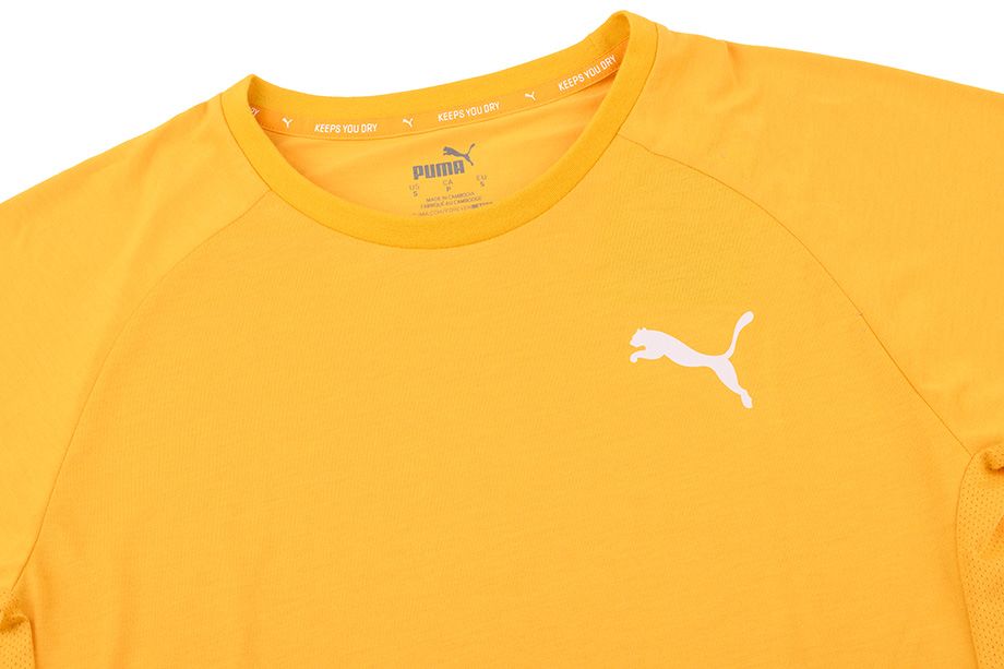 Puma Pánské tričko Evostripe Lite Tee 581534 25