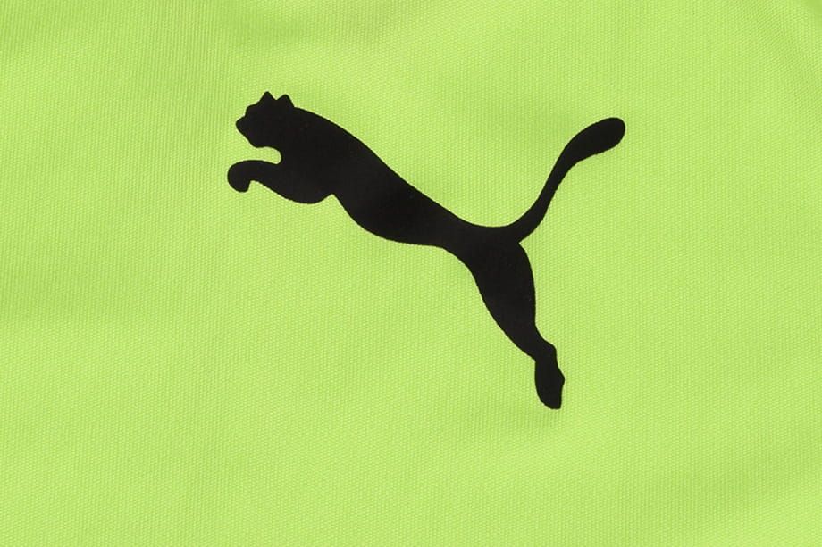 Puma pánské tričko Rtg Tee Sharp 581504 34
