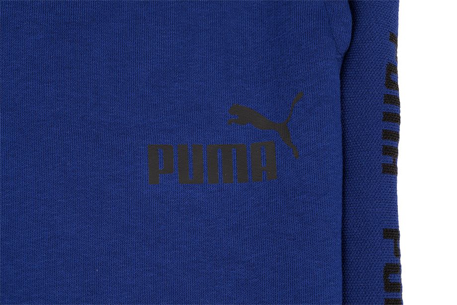 Puma Pánské šortky Amplified 585786 12