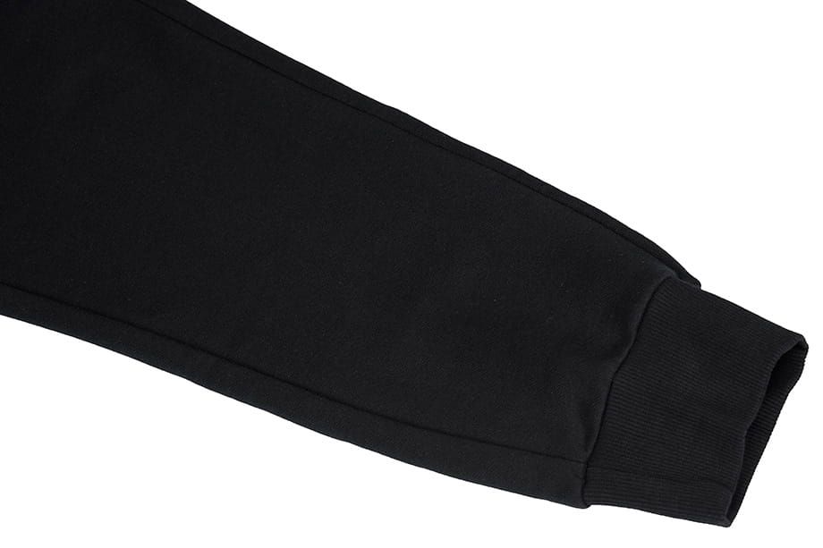 PUMA Pánské Kalhoty ESS Logo Pants FL 586714 01 EUR S OUTLET PUMA Pánské Kalhoty ESS Logo Pants FL 586714 01 EUR S OUTLET