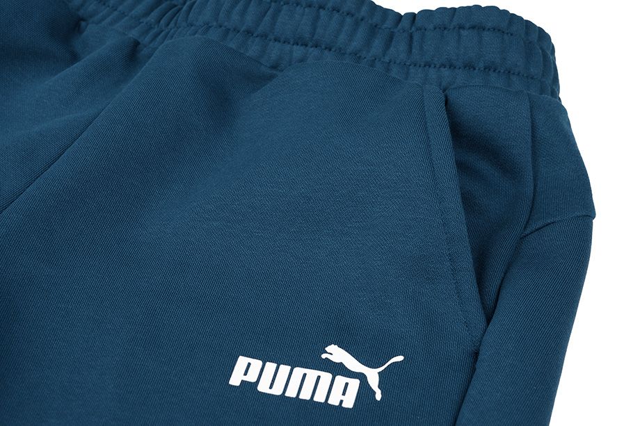 Puma Pánské kalhoty ESS Logo Pants FL cl 853410 38