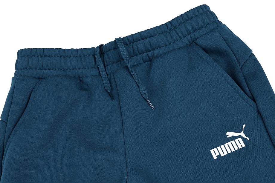 Puma Pánské kalhoty ESS Logo Pants FL cl 853410 38