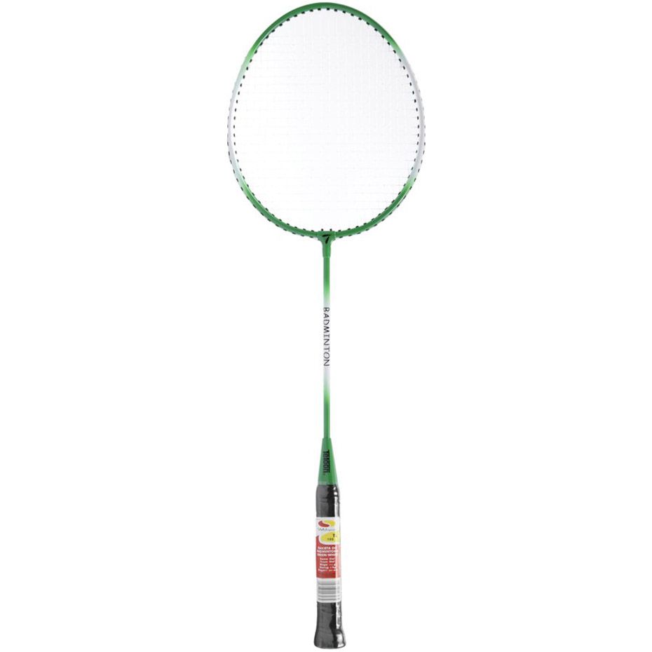 SMJ Badmintonová raketa Teloon TL100 R2642