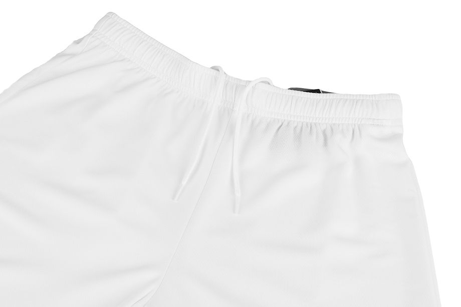 PUMA Pro Děti Krátké Kalhoty teamRISE Short Jr 704943 03 PUMA Pro Děti Krátké Kalhoty teamRISE Short Jr 704943 03