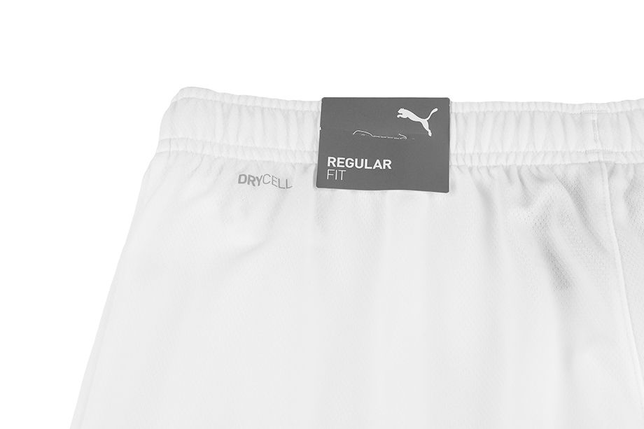 PUMA Pro Děti Krátké Kalhoty teamRISE Short Jr 704943 03 PUMA Pro Děti Krátké Kalhoty teamRISE Short Jr 704943 03