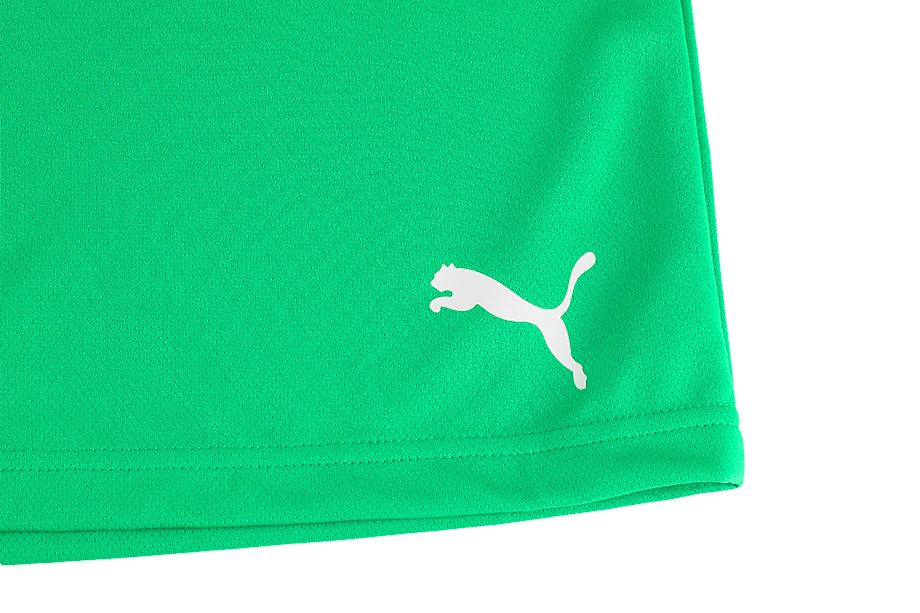 PUMA Pro Děti Krátké Kalhoty teamRISE Short Jr 704943 05 PUMA Pro Děti Krátké Kalhoty teamRISE Short Jr 704943 05