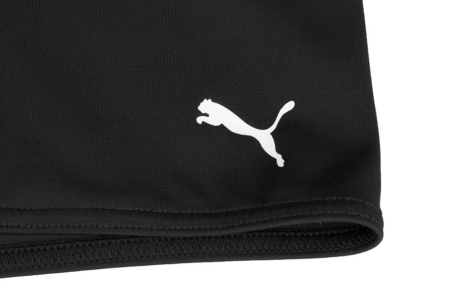 PUMA Pánské plavky Swim Men Logo Swim Trunk 907657 04