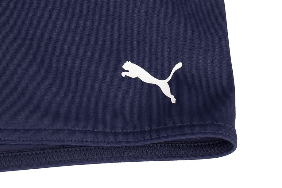 PUMA Pánské plavky Swim Men Logo Swim Trunk 907657 01