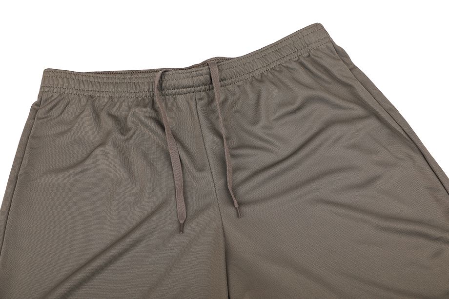 Nike krátké kalhoty pánské Dri-FIT Academy CW6107 222