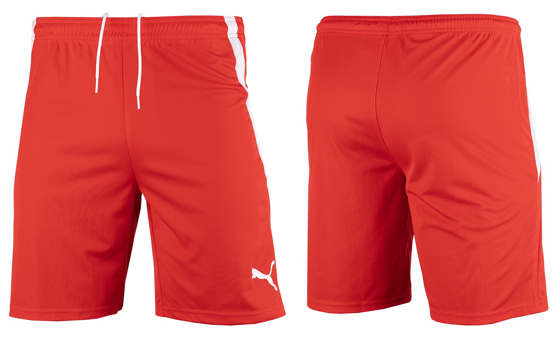 PUMA Pánské kraťasy teamLIGA 704924 01