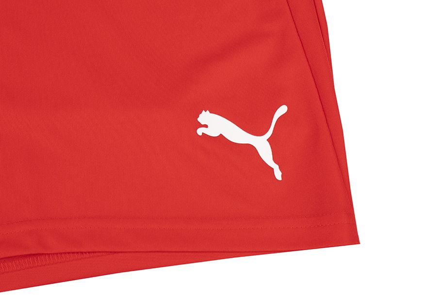 PUMA Pánské kraťasy teamLIGA 704924 01