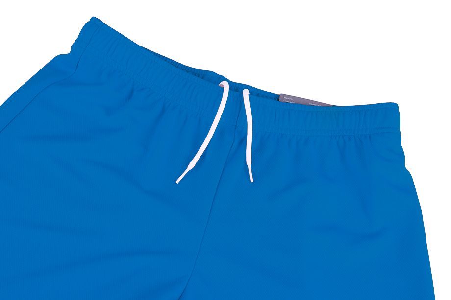 PUMA Pánské Krátké Kalhoty teamRISE Short Electric Blue Lemo 704942 02 EUR M OUTLET