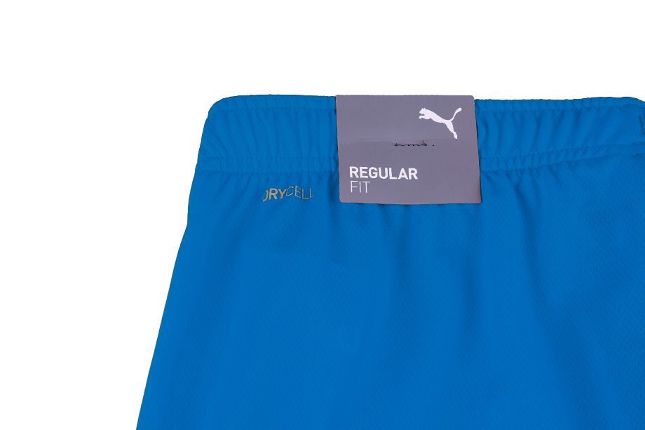 PUMA Pánské Krátké Kalhoty teamRISE Short Electric Blue Lemo 704942 02 EUR M OUTLET