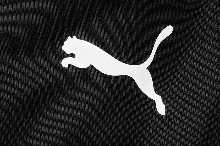 PUMA Pánské kalhoty teamRISE Poly Training 657390 03 EUR S OUTLET PUMA Pánské kalhoty teamRISE Poly Training 657390 03 EUR S OUTLET