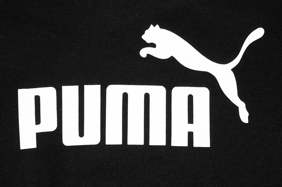 PUMA Dámské Mikina Amplified Hoodie TR 585910 01