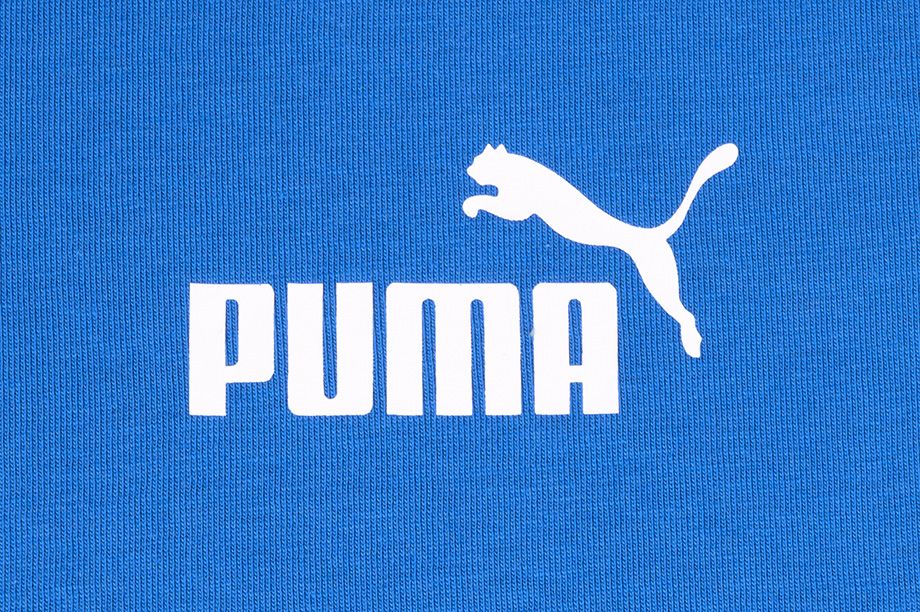 Puma Pánské Tričko Amplified Tee 585778 13